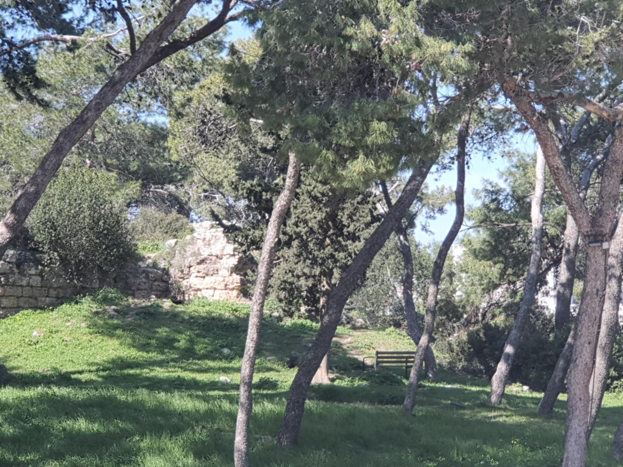 Marom Residence Romema Haifa Buitenkant foto